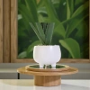 Simulated soft rubber aloe vera artificial flower set, white ceramic potted green plants, succulent plant decorative ornaments, cross-border pet gardening Application Scenario
